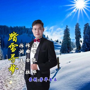 踏雪寻梦