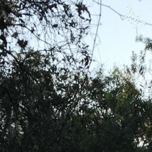 balls deep (2019) (feat. Bxtchwrxsts) (Explicit)