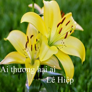 Ai thương hại ai