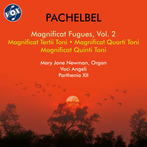 Mary Jane Newman - Magnificat fugues quinti toni, P. 314-325 - Magnificat fugue quinti toni No. 4, P. 317