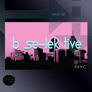 B Se-Lek Tive NYC, Vol. 2