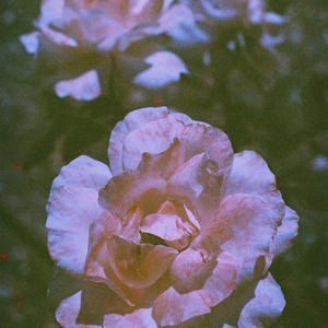 W¥NN - V2 (feat. Fx Prevail) (Explicit)