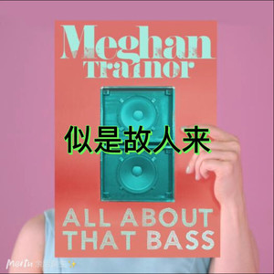 随风 - 十面埋伏 (DJ版)