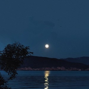 看我跃马扬鞭 (独奏版)