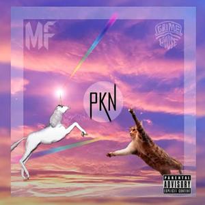 PKN (VIP ) [Explicit]