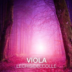 Viola