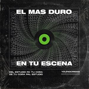 Bad boy (feat. MollyNa)