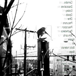 PUSH UP (feat. psych9se) (Explicit)