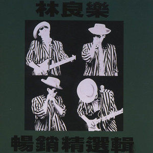 林良乐 - 你冷不冷