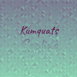 Kumquats Sapling