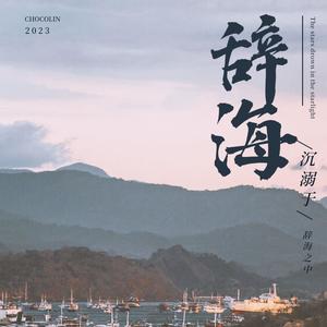 辞海封面
