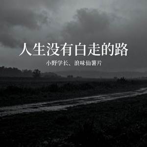 人生没有白走的路