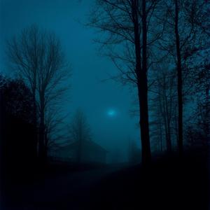 distorted reality (slowed & reverb)