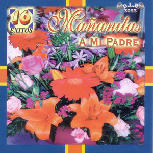 Mananitas a Mi Padre: 16 Exitos