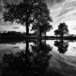 Misery (feat. Kid Cole) (Explicit)