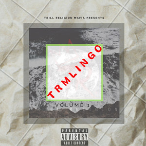 Trm Lingo,Vol.1 (Explicit)