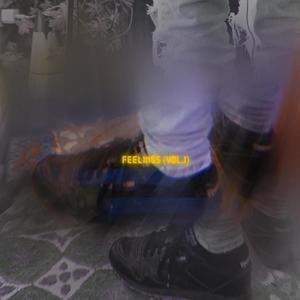 Feelings (vol.1) (Explicit)