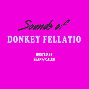 SOUNDS OF DONKEY FELLATIO (Intro Edition) [Explicit]