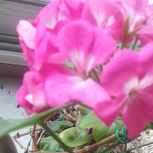 애인 찾기 (寻找爱人)