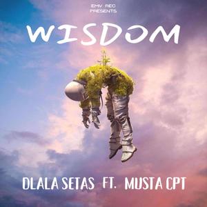 Wisdom (feat. Dlala Setas)