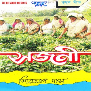 Chaha Gachhe Bhuli Gola