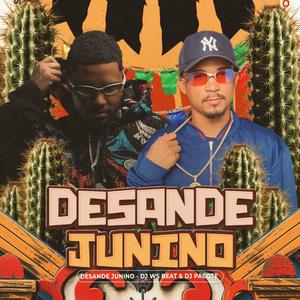 Desande Junino (feat. Dj Pacote Music|Eletrofunk)