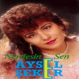 Aysel Seker - Nerdesin