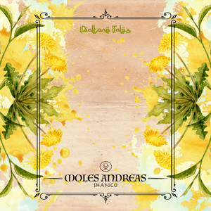 Frida (Different Ray Remix)