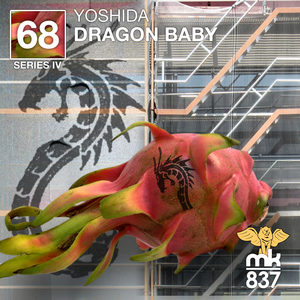 Dragon Baby