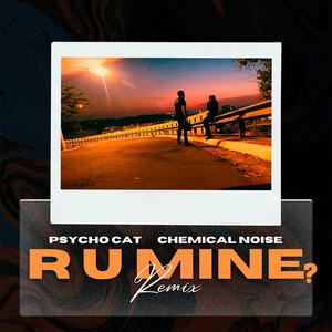 R U Mine? (Remix)