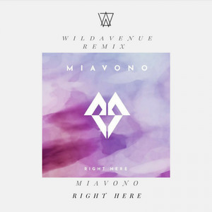 Right Here (WildAvenue Remix)