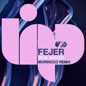 0530 House (Morinoco Instrumental Mix)