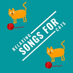 Relaxing Songs for Cats