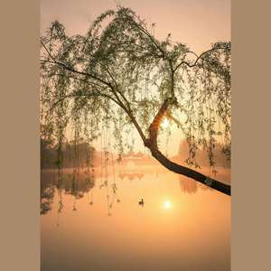 古风hip hop 片段