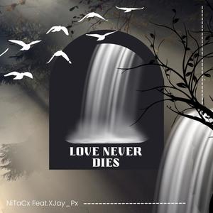 Love Never Dies (feat. XJay_Px)