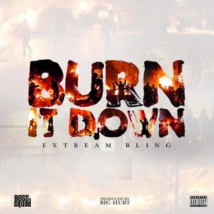 Burn It Down (Explicit)