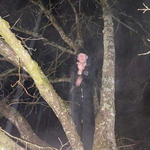 14 (feat. LIL SIMM) (Explicit)