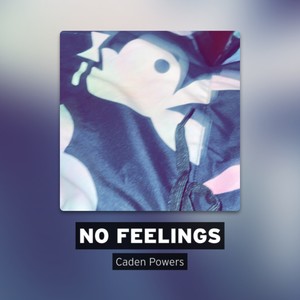 NO FEELINGS (Explicit)