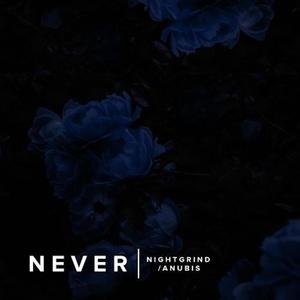 Never (feat. Anubis-XIII)