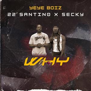 Why (feat. 22 SANTINO & Secky)