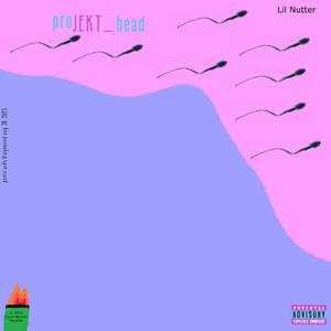 Gold Digging (feat. shinetonka) (Explicit)