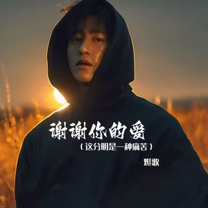 谢谢你的爱封面