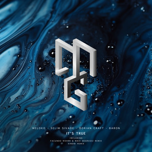 It's True (Xinobi Remix)