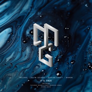 It's True (Xinobi Remix)