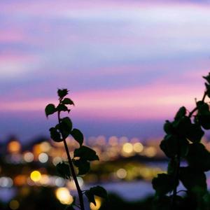 最好的都给你 (独一无二纪念日版)