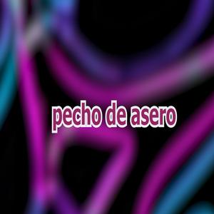 PECHO DE ASERO