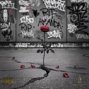 Amanda's Story (Explicit)