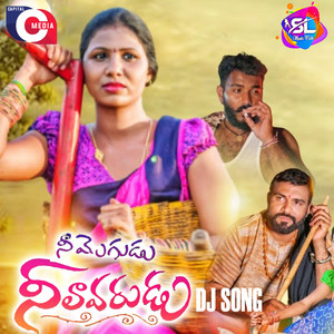 Nee Mogudu Neelavarudu (DJ Song)