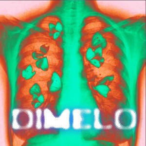 Dimelo