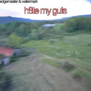 h8te my guts (feat. EDGEMASTER42) [Explicit]